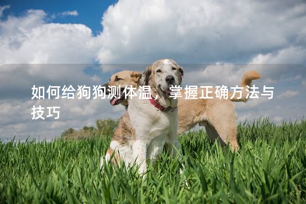 如何给狗狗测体温，掌握正确方法与技巧