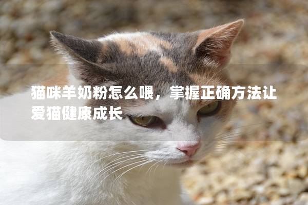 猫咪羊奶粉怎么喂，掌握正确方法让爱猫健康成长