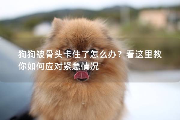 狗狗被骨头卡住了怎么办？看这里教你如何应对紧急情况