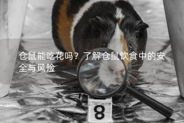 仓鼠能吃花吗?了解仓鼠饮食中的安全与风险 仓鼠能吃花吗?了解仓鼠饮食中的安全与风险