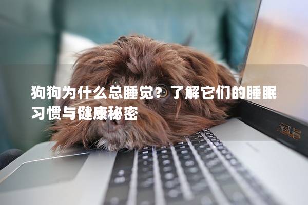 狗狗为什么总睡觉？了解它们的睡眠习惯与健康秘密