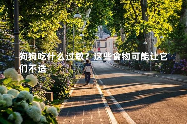 狗狗吃什么过敏?这些食物可能让它们不适 狗狗吃什么过敏?这些食物可能让它们不适