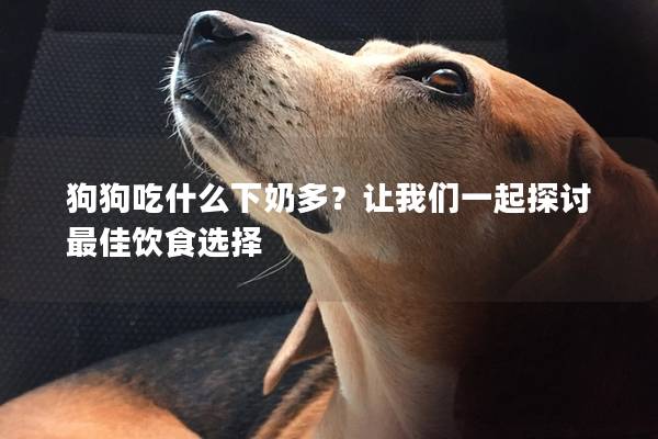 狗狗吃什么下奶多？让我们一起探讨最佳饮食选择