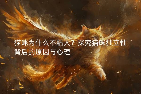 猫咪为什么不粘人?探究猫咪独立性背后的原因与心理 猫咪为什么不粘人?探究猫咪独立性背后的原因与心理