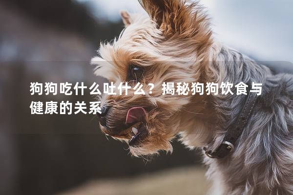 狗狗吃什么吐什么?揭秘狗狗饮食与健康的关系 狗狗吃什么吐什么?揭秘狗狗饮食与健康的关系