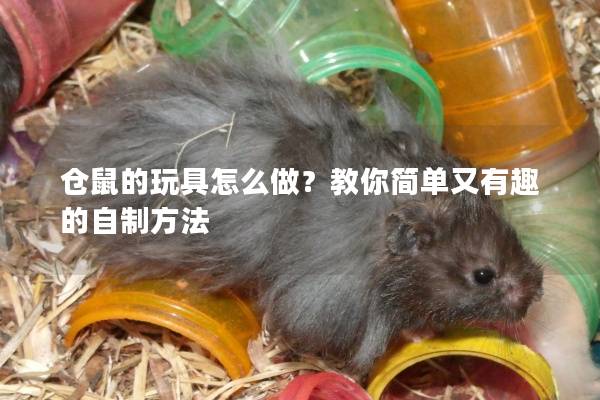 仓鼠的玩具怎么做？教你简单又有趣的自制方法