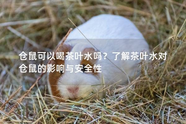 仓鼠可以喝茶叶水吗？了解茶叶水对仓鼠的影响与安全性