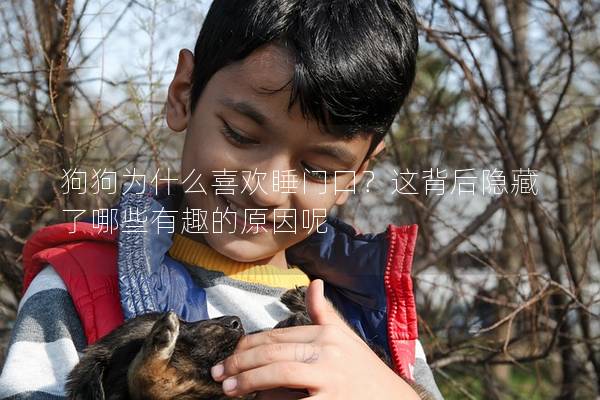 狗狗为什么喜欢睡门口？这背后隐藏了哪些有趣的原因呢