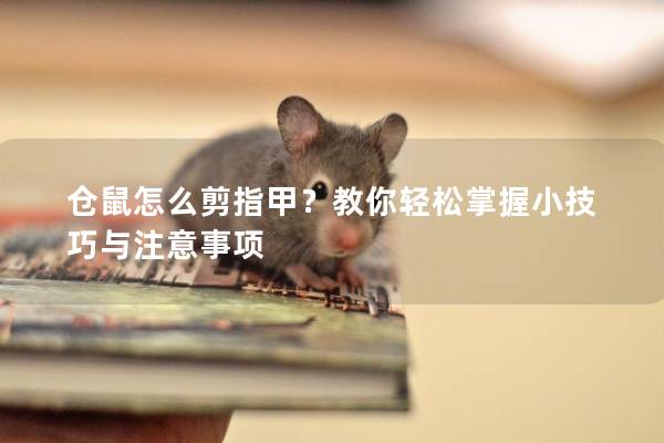 仓鼠怎么剪指甲？教你轻松掌握小技巧与注意事项