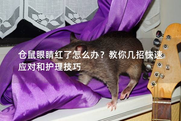 仓鼠眼睛红了怎么办？教你几招快速应对和护理技巧