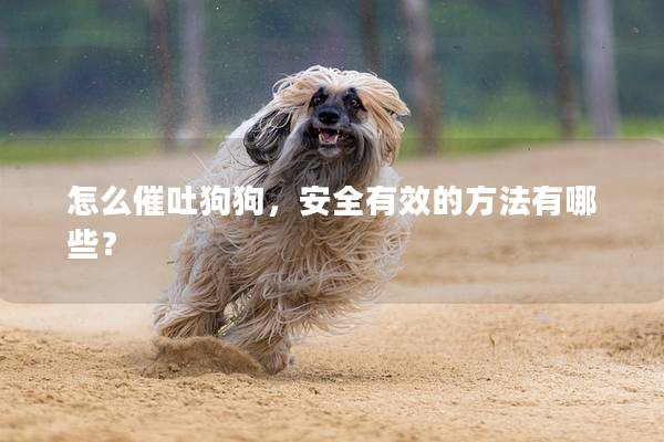 怎么催吐狗狗，安全有效的方法有哪些？