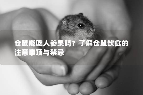 仓鼠能吃人参果吗？了解仓鼠饮食的注意事项与禁忌