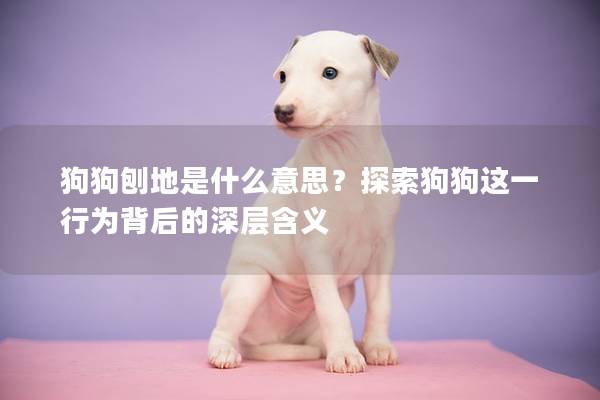 狗狗刨地是什么意思？探索狗狗这一行为背后的深层含义