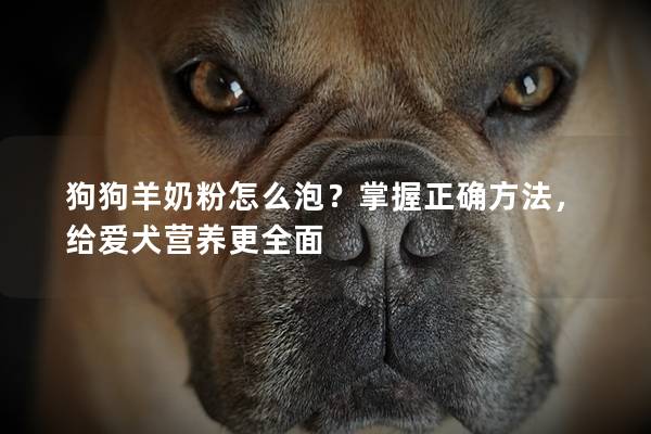 狗狗羊奶粉怎么泡？掌握正确方法，给爱犬营养更全面