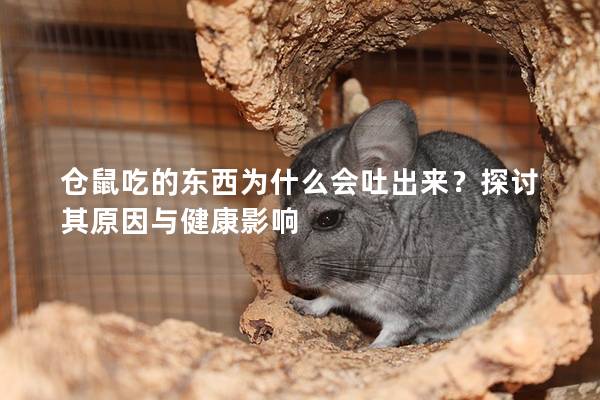 仓鼠吃的东西为什么会吐出来？探讨其原因与健康影响