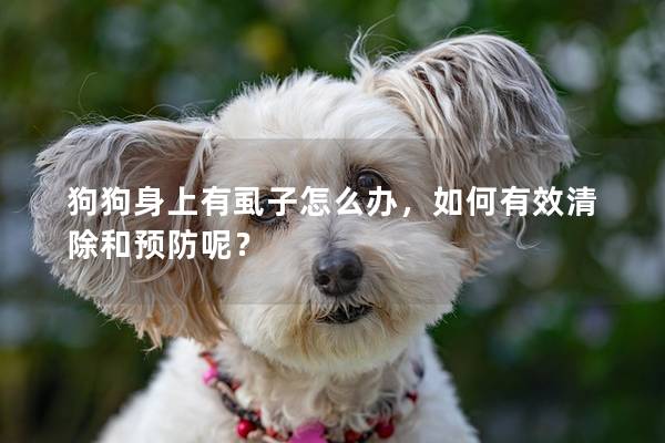 狗狗身上有虱子怎么办，如何有效清除和预防呢？
