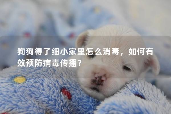 狗狗得了细小家里怎么消毒，如何有效预防病毒传播？