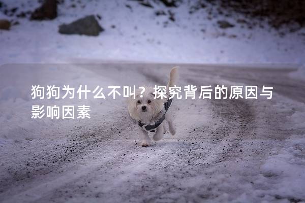 狗狗为什么不叫?探究背后的原因与影响因素 狗狗为什么不叫?探究背后的原因与影响因素