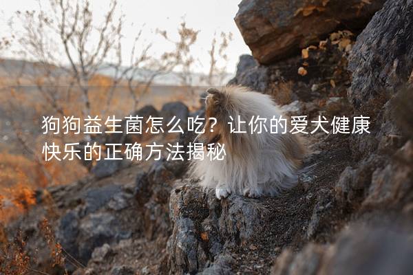 狗狗益生菌怎么吃？让你的爱犬健康快乐的正确方法揭秘