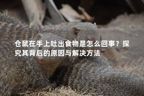 仓鼠在手上吐出食物是怎么回事？探究其背后的原因与解决方法