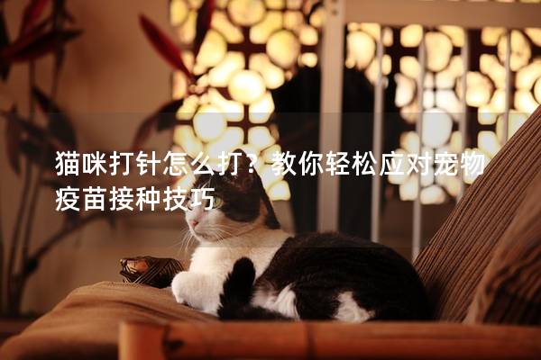 猫咪打针怎么打？教你轻松应对宠物疫苗接种技巧