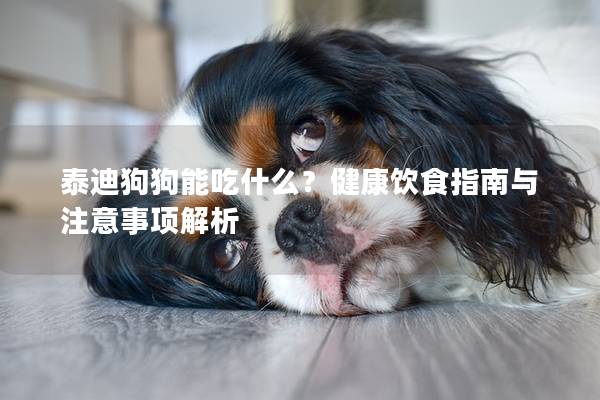 泰迪狗狗能吃什么？健康饮食指南与注意事项解析