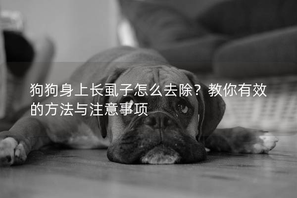 狗狗身上长虱子怎么去除？教你有效的方法与注意事项