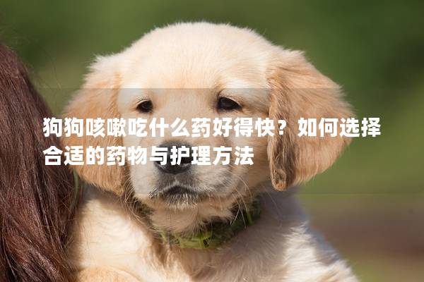 狗狗咳嗽吃什么药好得快？如何选择合适的药物与护理方法