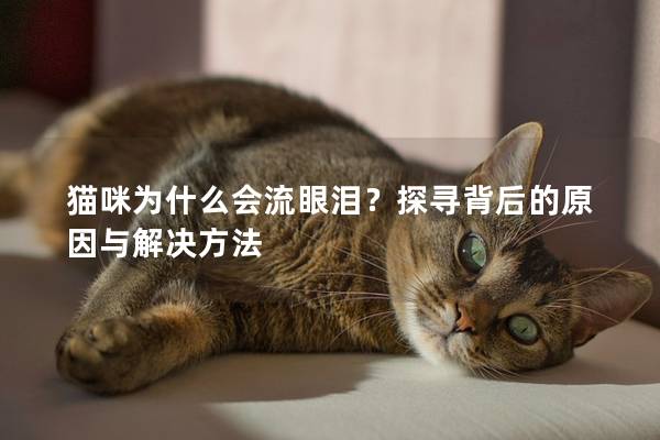 猫咪为什么会流眼泪？探寻背后的原因与解决方法