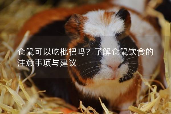 仓鼠可以吃枇杷吗？了解仓鼠饮食的注意事项与建议