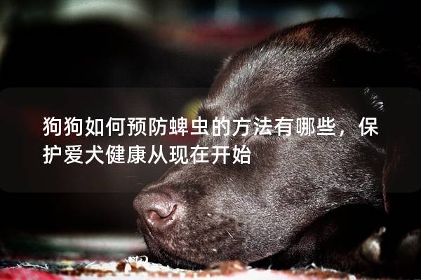 狗狗如何预防蜱虫的方法有哪些，保护爱犬健康从现在开始