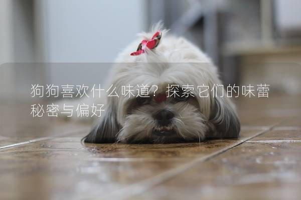 狗狗喜欢什么味道?探索它们的味蕾秘密与偏好 狗狗喜欢什么味道?探索它们的味蕾秘密与偏好