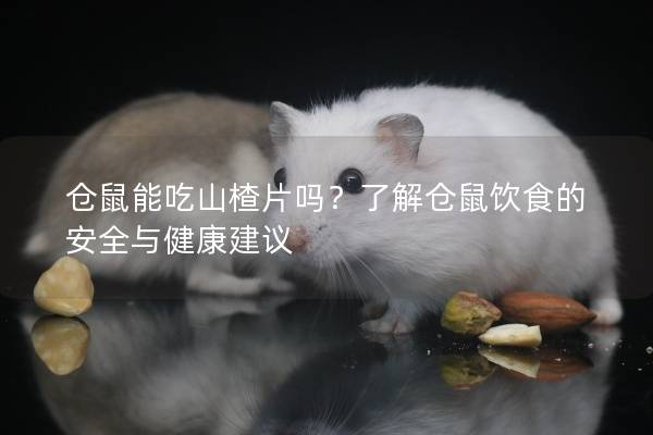 仓鼠能吃山楂片吗？了解仓鼠饮食的安全与健康建议