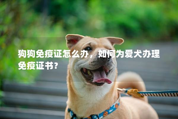 狗狗免疫证怎么办,如何为爱犬办理免疫证书? 狗狗免疫证怎么办,如何为爱犬办理免疫证书?