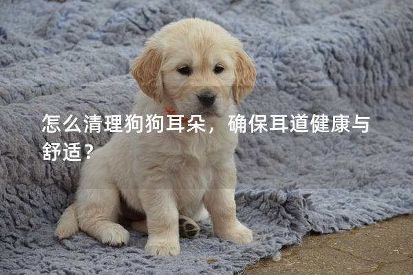 怎么清理狗狗耳朵，确保耳道健康与舒适？