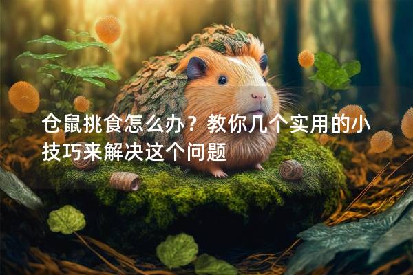 仓鼠挑食怎么办？教你几个实用的小技巧来解决这个问题