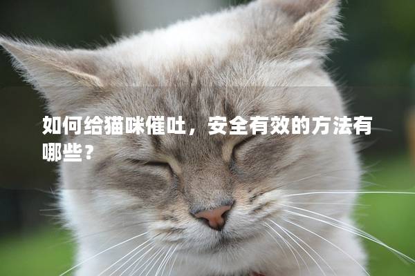 如何给猫咪催吐，安全有效的方法有哪些？