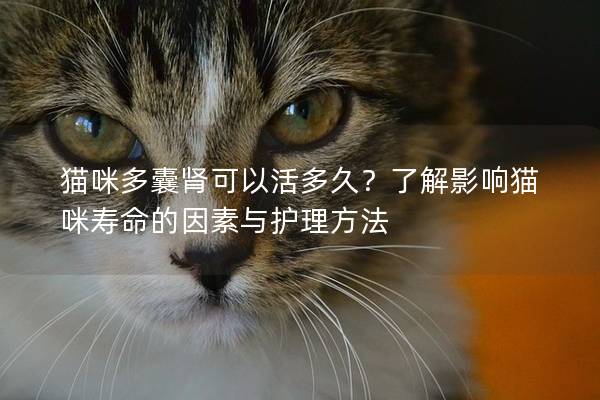 猫咪多囊肾可以活多久?了解影响猫咪寿命的因素与护理方法 猫咪多囊肾可以活多久?了解影响猫咪寿命的因素与护理方法