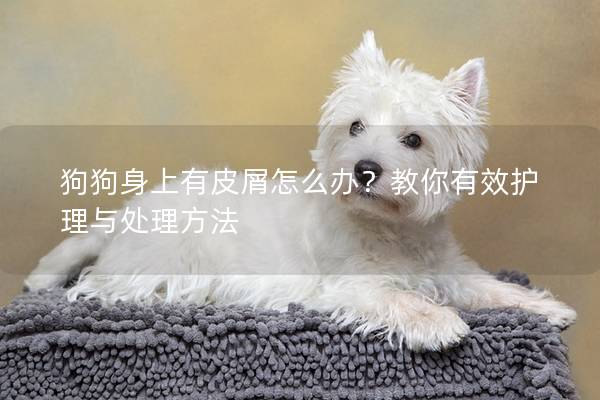 狗狗身上有皮屑怎么办？教你有效护理与处理方法