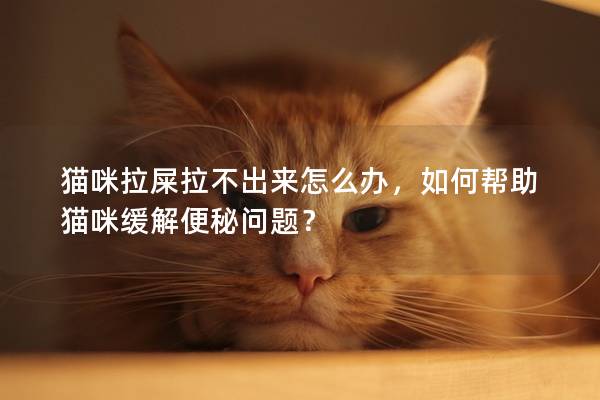 猫咪拉屎拉不出来怎么办，如何帮助猫咪缓解便秘问题？