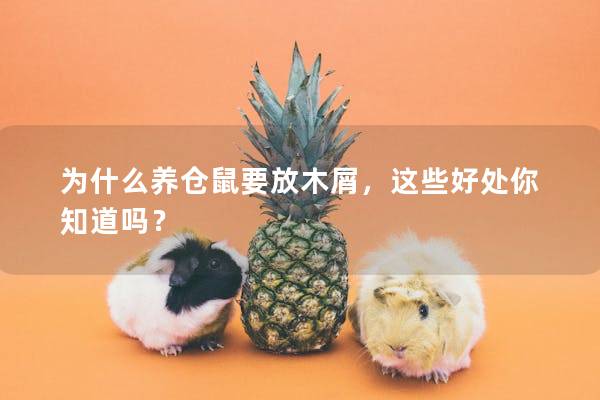 为什么养仓鼠要放木屑,这些好处你知道吗? 为什么养仓鼠要放木屑,这些好处你知道吗?