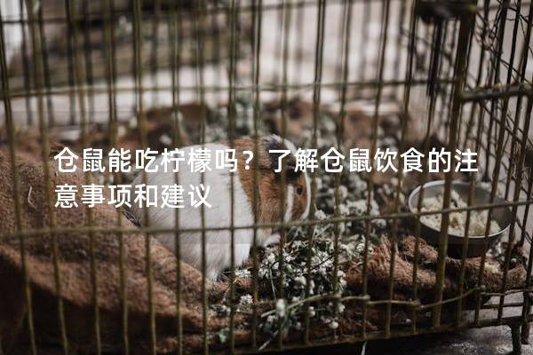 仓鼠能吃柠檬吗？了解仓鼠饮食的注意事项和建议