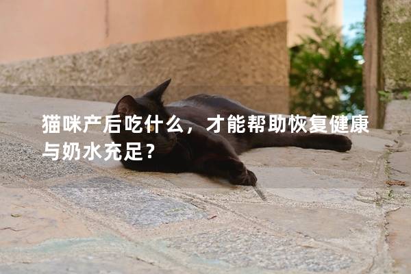 猫咪产后吃什么，才能帮助恢复健康与奶水充足？