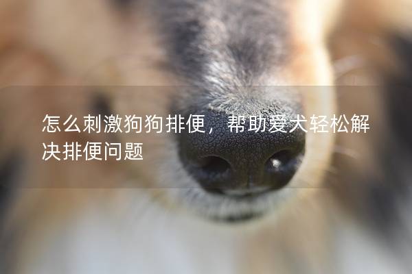 怎么刺激狗狗排便，帮助爱犬轻松解决排便问题