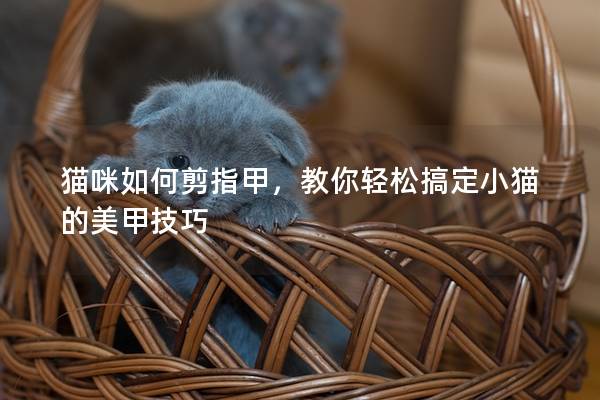 猫咪如何剪指甲，教你轻松搞定小猫的美甲技巧