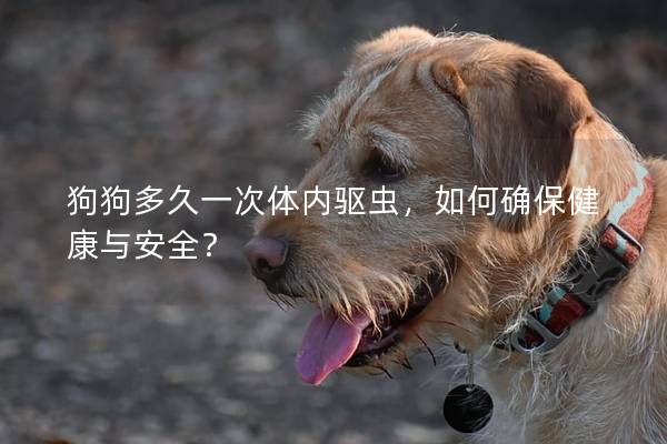 狗狗多久一次体内驱虫，如何确保健康与安全？