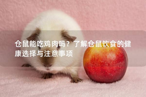 仓鼠能吃鸡肉吗？了解仓鼠饮食的健康选择与注意事项