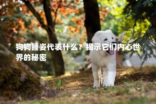 狗狗睡姿代表什么？揭示它们内心世界的秘密