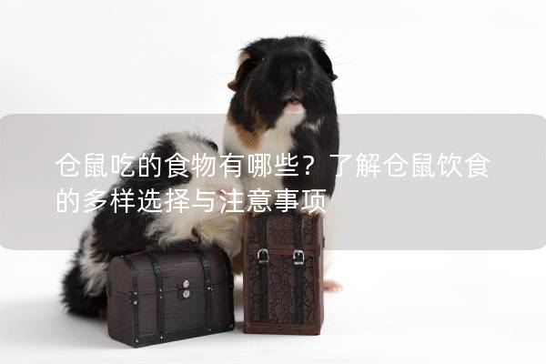 仓鼠吃的食物有哪些？了解仓鼠饮食的多样选择与注意事项