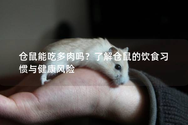 仓鼠能吃多肉吗？了解仓鼠的饮食习惯与健康风险